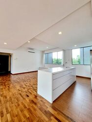 Nassim Regency (D10), Condominium #509212421
